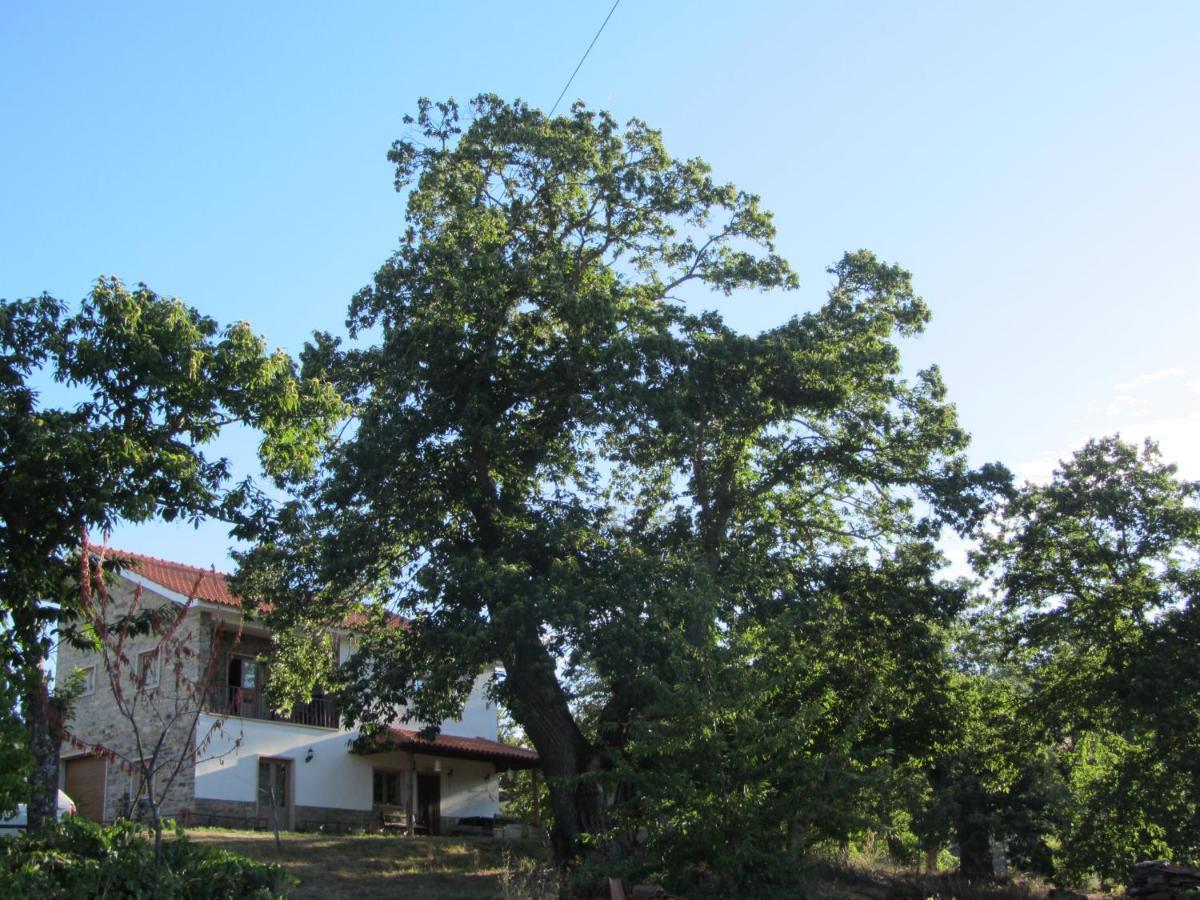 O Bilho Panzió Vinhais Kültér fotó
