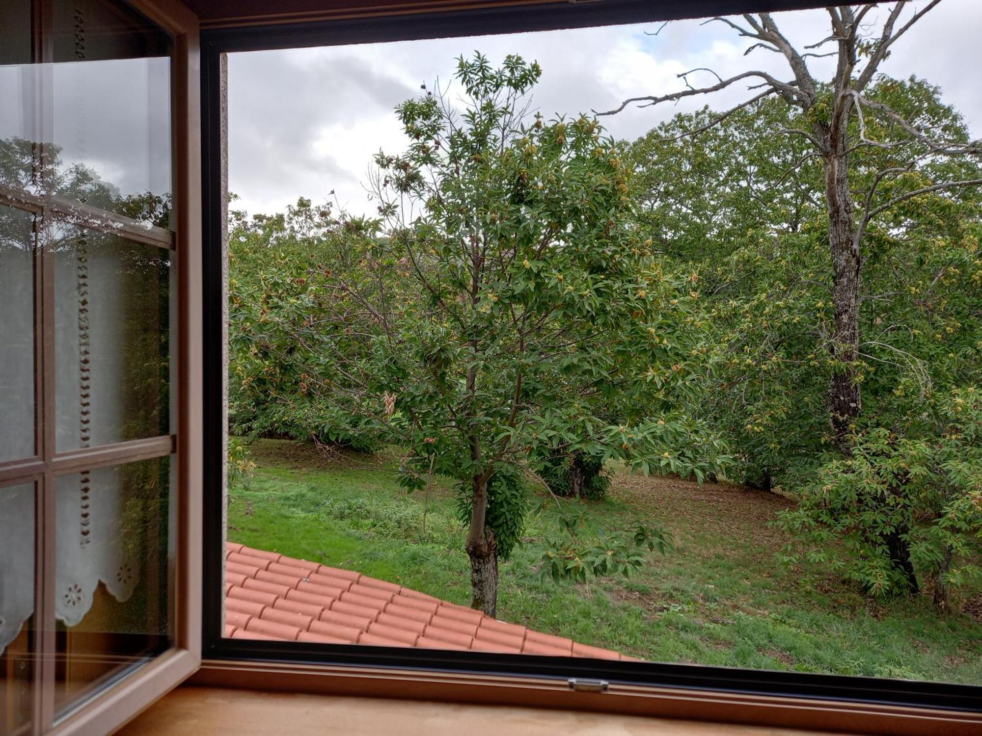 O Bilho Panzió Vinhais Kültér fotó